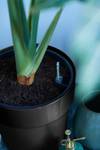 b.for original rond 18cm living black